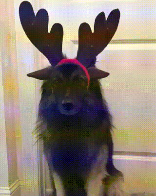 ??: 하... 하다하다 별걸 다.. | 인스티즈