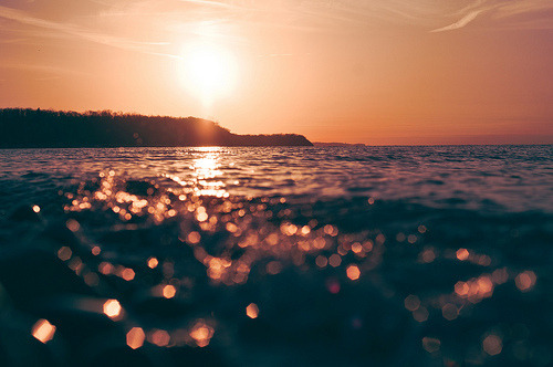 당신은 해당화 피기 전에 오신다고 하였습니다.txt | 인스티즈