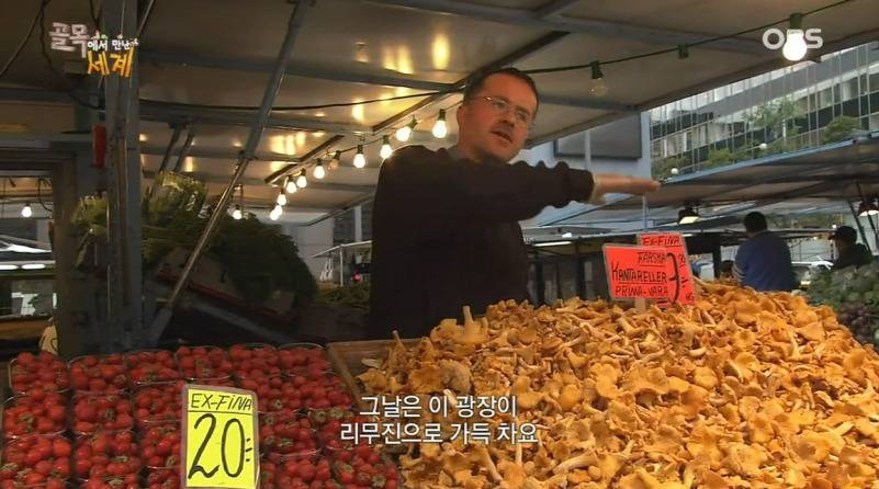 스웨덴 사람들의 평범한 일상 (개지루함 주의......) | 인스티즈