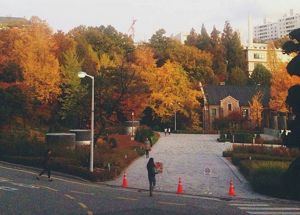 이화여대의 가을.jpg | 인스티즈
