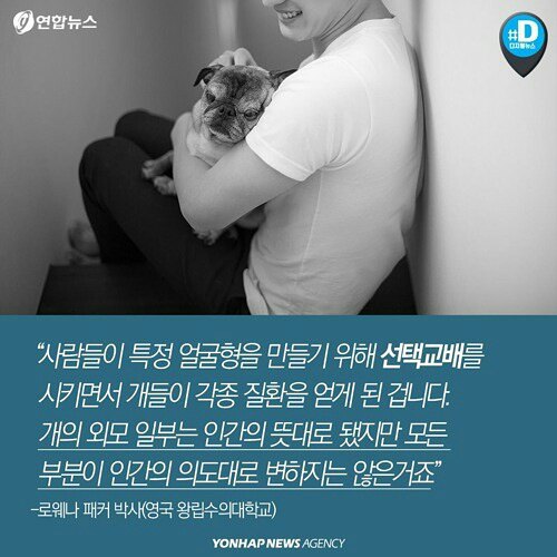 귀엽다구요? 사실 난 아픈 고양이에요 | 인스티즈