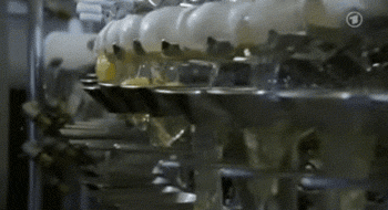 일본에서 파는 긴 계란 | 인스티즈