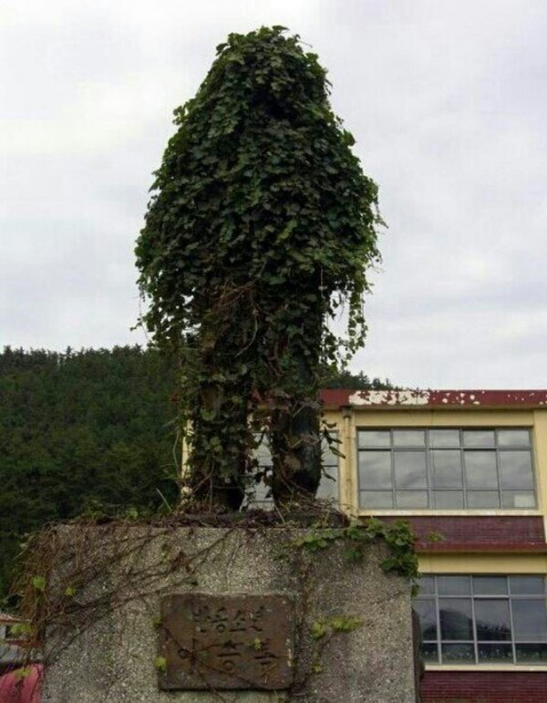 얼티메이트 스나이퍼 | 인스티즈