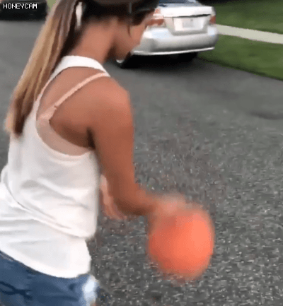 봉변 당한 댕댕이.gif | 인스티즈