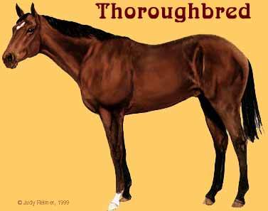 아무말 대잔치.JPGIF | 인스티즈