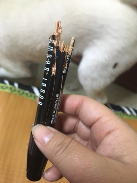 반려동물을 기른다는 것에 대한 현실(feat.매쫑)+댓글에도 여시들이 예시많이 올려주는중...! | 인스티즈