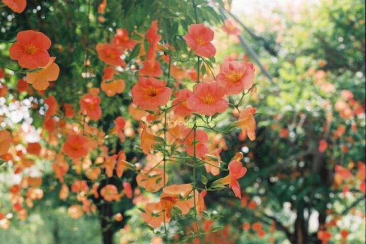 자신이 가장 좋아하는 문학의 구절을 적어보자! | 인스티즈