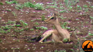 생존본능모성애 | 인스티즈