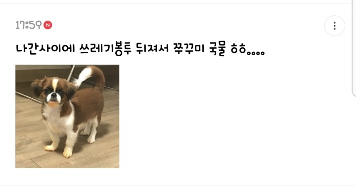 반려동물을 기른다는 것에 대한 현실(feat.매쫑)+댓글에도 여시들이 예시많이 올려주는중...! | 인스티즈