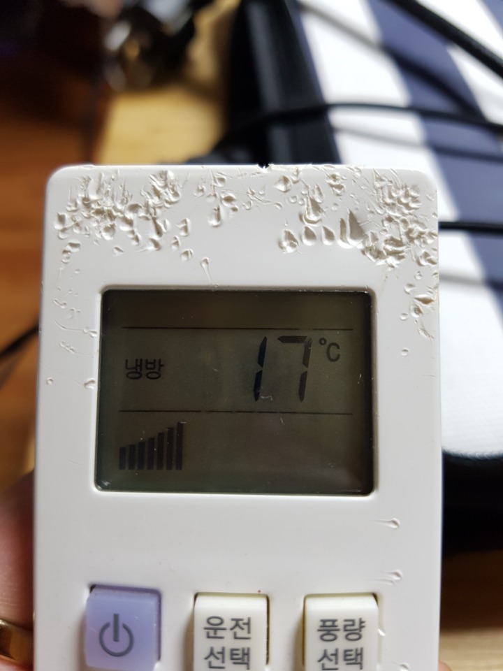 반려동물을 기른다는 것에 대한 현실(feat.매쫑)+댓글에도 여시들이 예시많이 올려주는중...! | 인스티즈