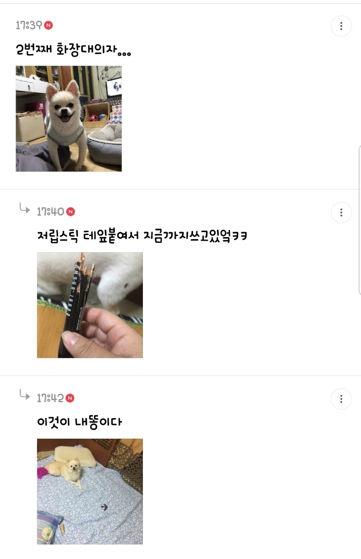 반려동물을 기른다는 것에 대한 현실(feat.매쫑)+댓글에도 여시들이 예시많이 올려주는중...! | 인스티즈