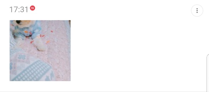 반려동물을 기른다는 것에 대한 현실(feat.매쫑)+댓글에도 여시들이 예시많이 올려주는중...! | 인스티즈