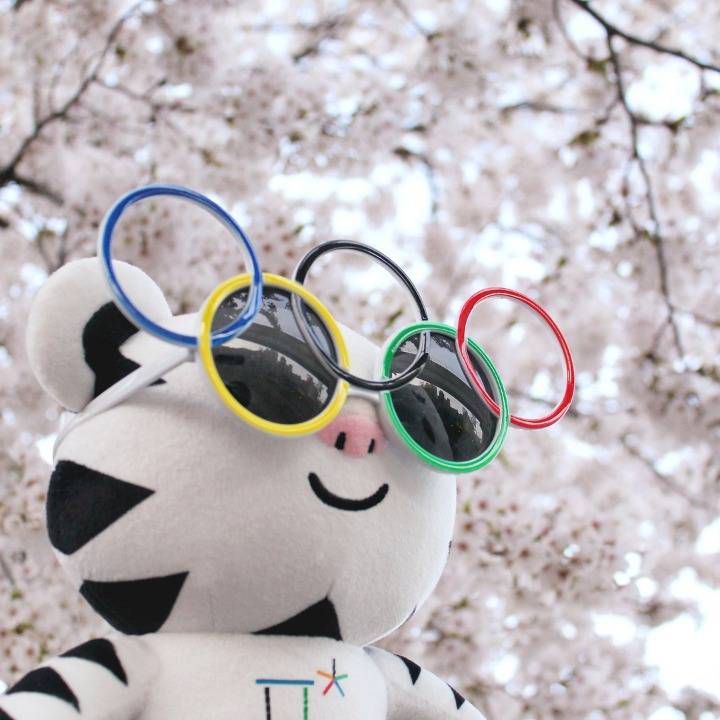 벚꽃이랑 사진 찍은 수호랑 | 인스티즈