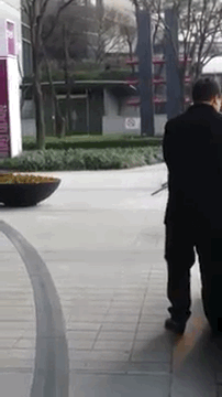 가끔 키 180썰이 도는 트와이스 정연.jpgif | 인스티즈