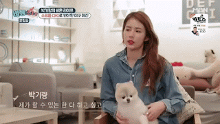 손 달라는걸로 착각한 댕댕이 | 인스티즈