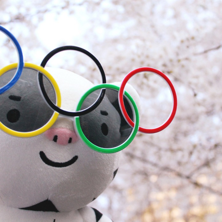 벚꽃이랑 사진 찍은 수호랑 | 인스티즈