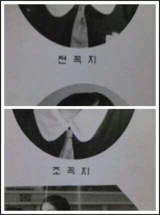  무표정으로 정색하고 들어와봐 이름만으로 웃겨볼게 12단계까지있음 | 인스티즈