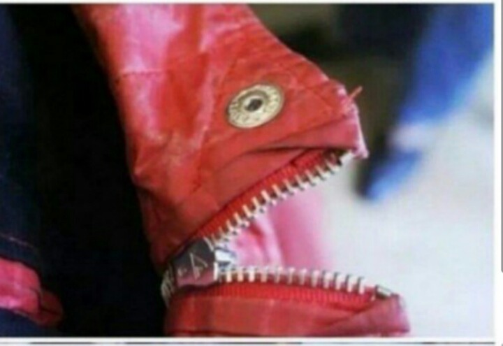 소름돋는 물고기 | 인스티즈