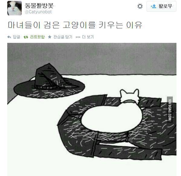 마녀들이 검은 고양이를 키우는 이유 | 인스티즈