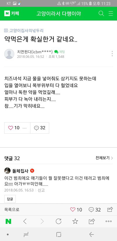 길고양이 몇십마리 키우시던분인데 누가 약타서 80마리 고양이 죽였대 | 인스티즈