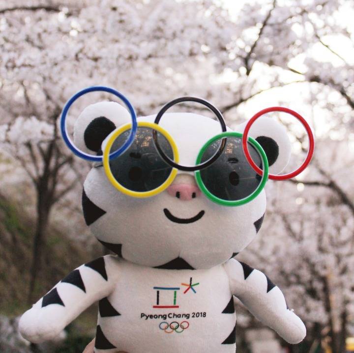 벚꽃이랑 사진 찍은 수호랑 | 인스티즈