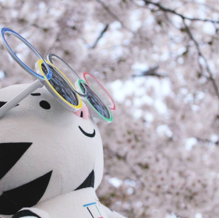 벚꽃이랑 사진 찍은 수호랑 | 인스티즈