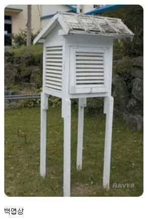 백엽상 아시는분? | 인스티즈