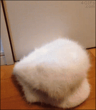 드...듵켰다.gif | 인스티즈