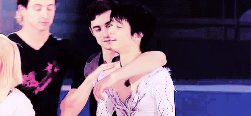 외국도 주목하는 하뉴와 하비의 지독한 사랑.gif(하뉴주의) | 인스티즈