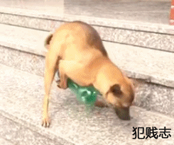 역대급 최악의 기분이네요 | 인스티즈