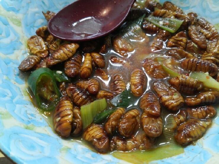 1 vs 2 vs 3 | 인스티즈