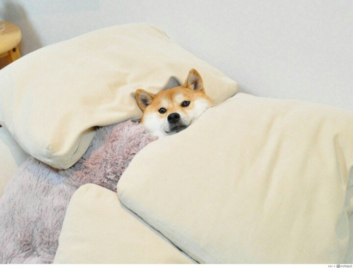 학원에서 실수로 남학생 소중이 터치함.JPG | 인스티즈