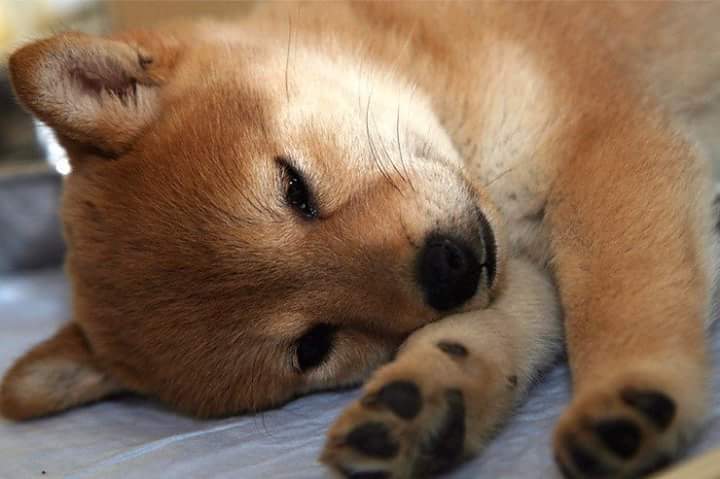 의외로 닮은연예인 | 인스티즈