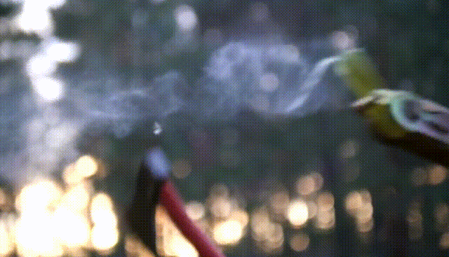 유럽에서 더 사랑받는 한국 전통놀이.gif | 인스티즈