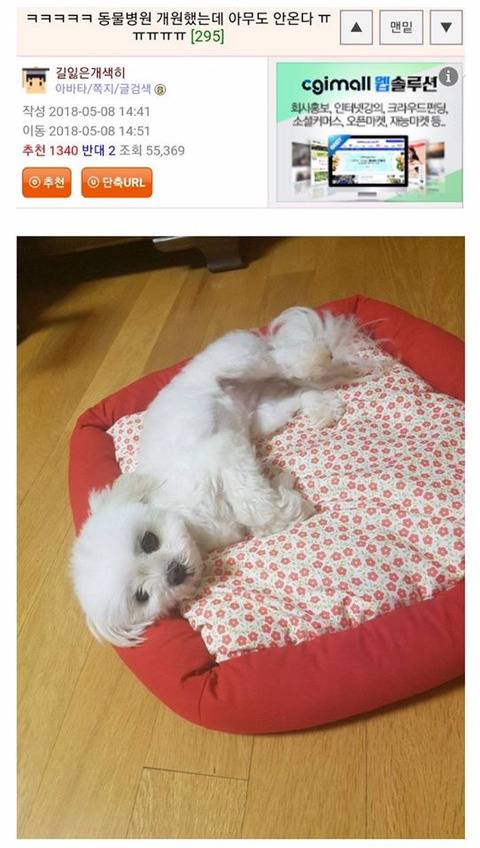 손님들이 왜 안오는지 도저히 모르겠다는 웃대인 | 인스티즈