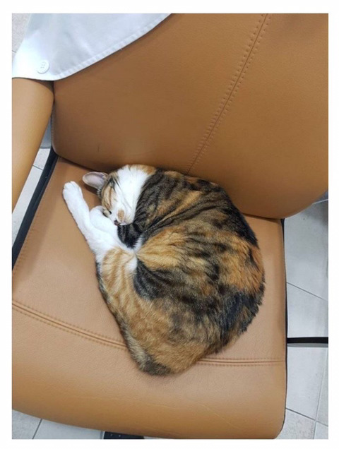 손님들이 왜 안오는지 도저히 모르겠다는 웃대인 | 인스티즈