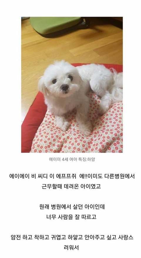 손님들이 왜 안오는지 도저히 모르겠다는 웃대인 | 인스티즈