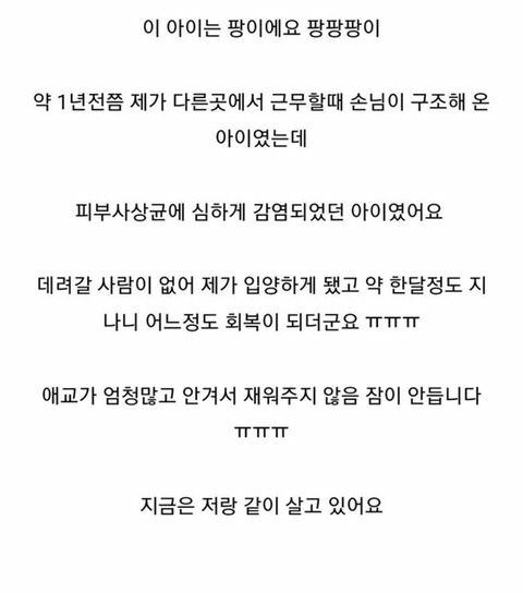 손님들이 왜 안오는지 도저히 모르겠다는 웃대인 | 인스티즈