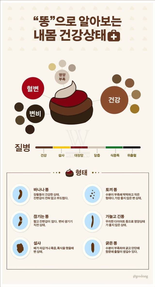 똥으로 보는 건강상태 . jpg | 인스티즈