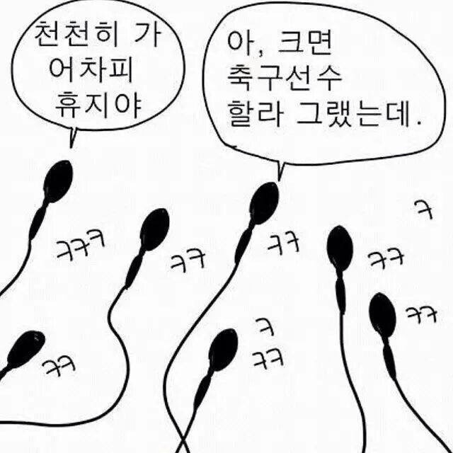 정자들의 생각 | 인스티즈