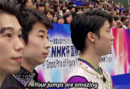 외국도 주목하는 하뉴와 하비의 지독한 사랑.gif(하뉴주의) | 인스티즈