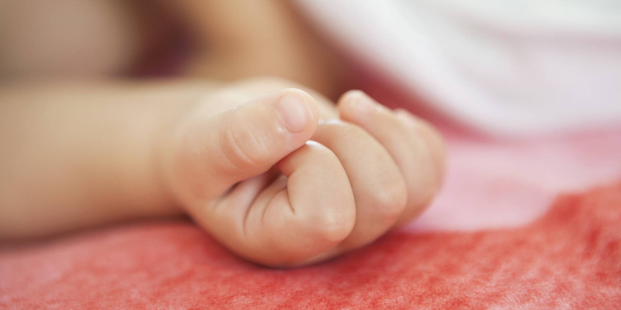 아기 손을 왜 고사리 손이라고 부를까? | 인스티즈