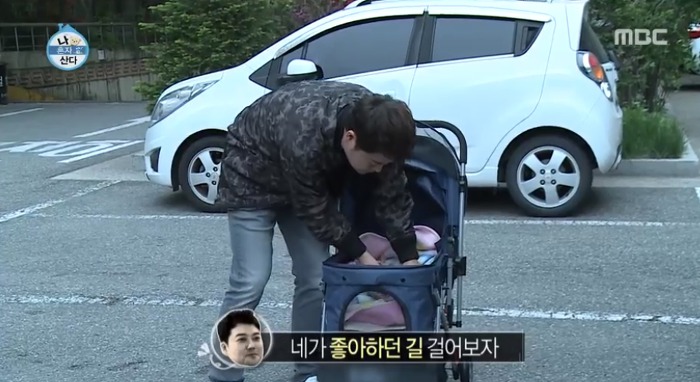 [나혼자산다] 전현무와 17살 반려견 또또 이야기.jpg | 인스티즈