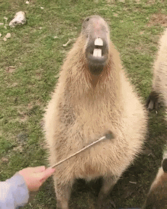 기분 좋으면 못생겨짐 | 인스티즈