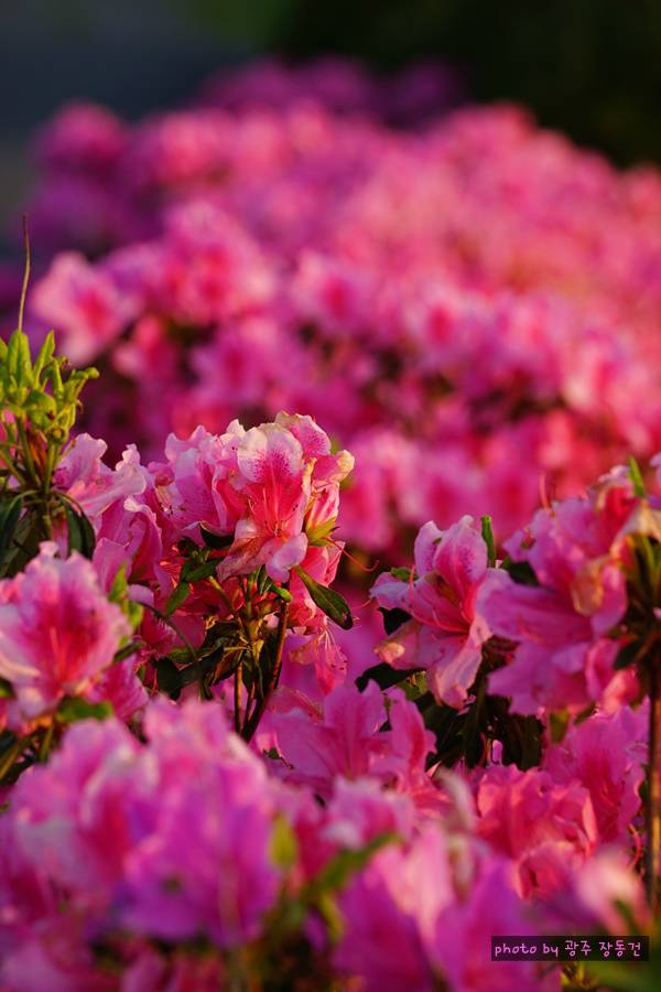 일본 바이크 투어 D+79,80 | 인스티즈