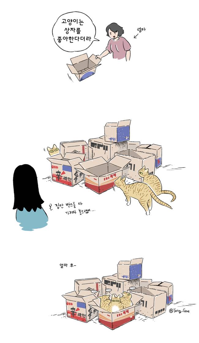 고양이 여덟마리와 살았다 | 인스티즈