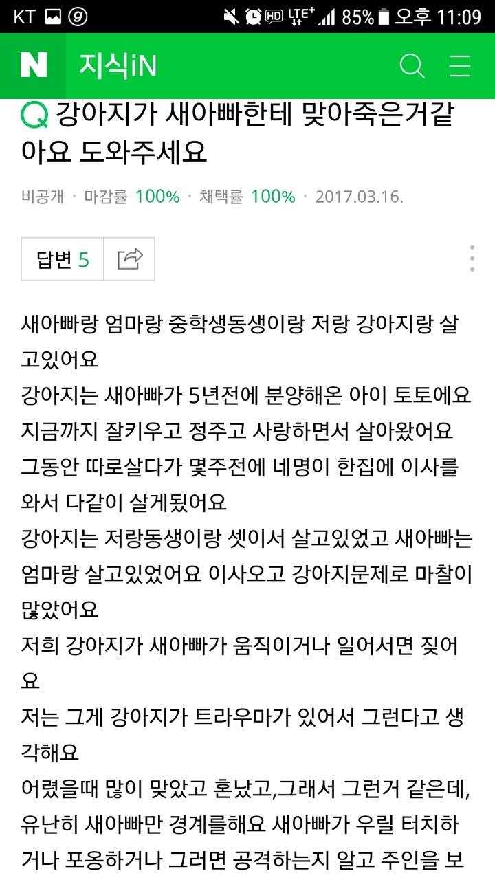 강아지가 새아빠한테 맞아 죽은거같아요 도와주세요 | 인스티즈