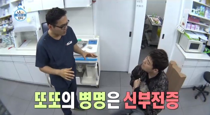 [나혼자산다] 전현무와 17살 반려견 또또 이야기.jpg | 인스티즈