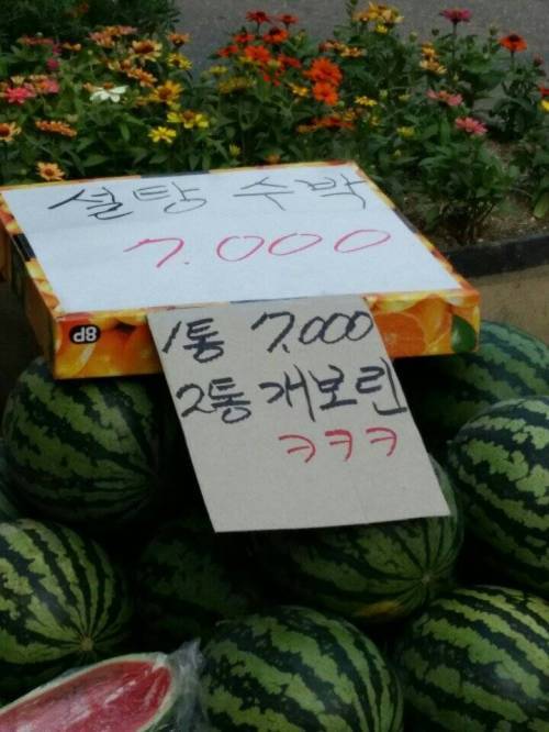 수박 한통 7천원 | 인스티즈