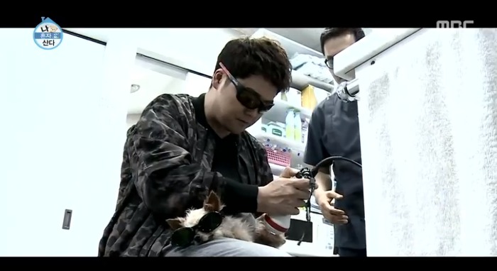 [나혼자산다] 전현무와 17살 반려견 또또 이야기.jpg | 인스티즈